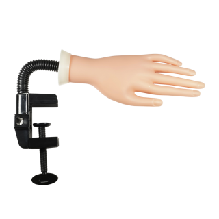 Cre8tion Soft Plastic Hand Model with Short Counter Clamp, 10203 BB KK0715